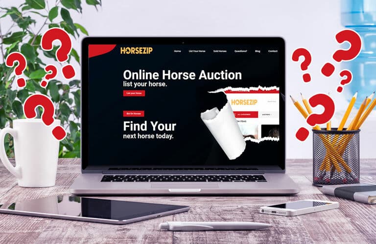 Online Horse Auction