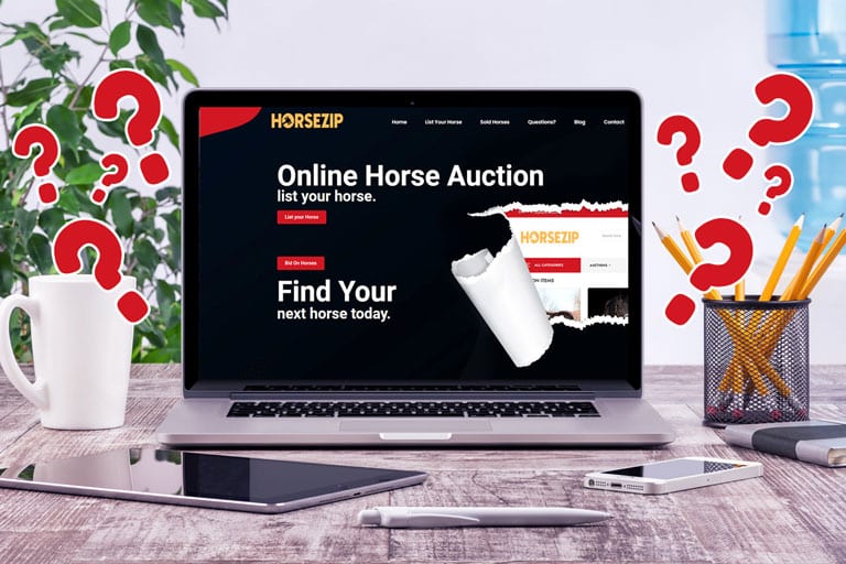 Online Horse Auction? Why should I trust it?